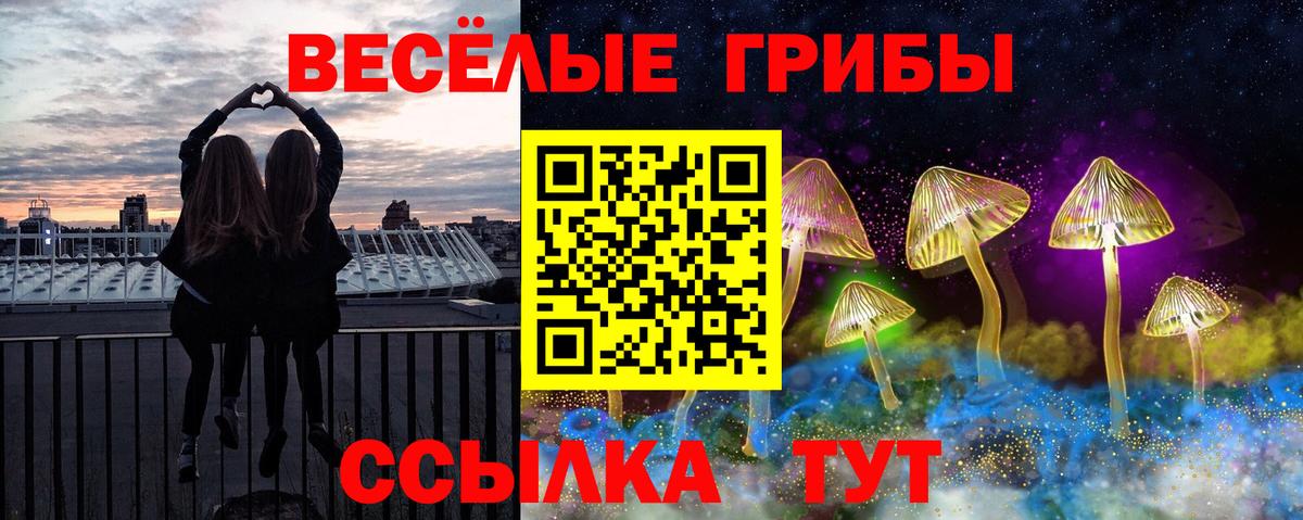 Серпухов  Галлюциногенные грибы Psilocybe  Вход с VPN 